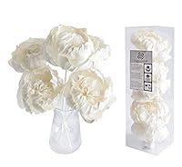 Algopix Similar Product 10 - 5 DIY Peony Brides Dream 3 Sola Flower