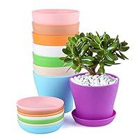 Algopix Similar Product 9 - KINGLAKE 8 Pcs 4 Plastic Plant Flower