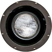 Algopix Similar Product 8 - Dabmar Lighting FG4310 Fiberglass 70W