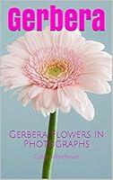 Algopix Similar Product 1 - Gerbera: Gerbera Flowers in Photographs