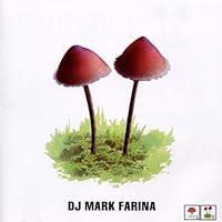 Algopix Similar Product 1 - Mushroom Jazz 2