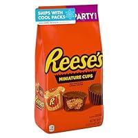 Algopix Similar Product 3 - REESES Miniatures Milk Chocolate