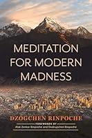 Algopix Similar Product 14 - Meditation for Modern Madness