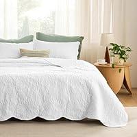 Algopix Similar Product 8 - Bedsure Queen Quilt Bedding Set 