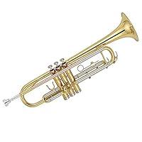 Algopix Similar Product 4 - Kaizer CSeries 3000 Standard B Flat