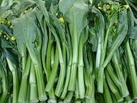 Algopix Similar Product 10 - Asian Heirloom Yu Choi Edible Rape by