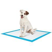 Algopix Similar Product 11 - 100 Count 30x30 Strong Ultra Absorbent