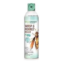 Algopix Similar Product 13 - ecoSMART 33510 Wasp  Hornet Killer 9