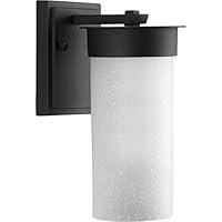 Algopix Similar Product 16 - Progress Lighting P562420 Hawthorne