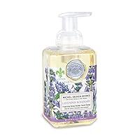 Algopix Similar Product 16 - Michel Design Works Foaming Hand Soap