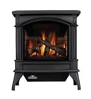 Algopix Similar Product 11 - Napoleon W1750318 Fireplace Conversion