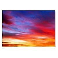 Algopix Similar Product 10 - Veils by CATeyes 22x32Inch Canvas