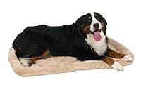 Algopix Similar Product 7 - Aspen Pet Bolster Style Kennel Mat