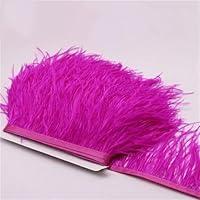 Algopix Similar Product 8 - Ostrich Feather Trims Trim Ostrich