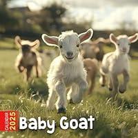 Algopix Similar Product 13 - Baby Goat Calendar 2025 365 Days of