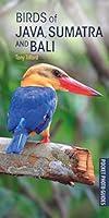 Algopix Similar Product 20 - Birds of Java Sumatra and Bali Pocket