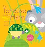Algopix Similar Product 9 - The Tortoise and the Hare
