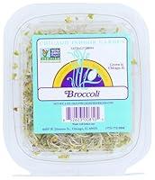 Algopix Similar Product 1 - Chicago Indoor Gardens Broccoli, 2 OZ