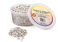 Algopix Similar Product 7 - Hygloss Products Bucket O Craft