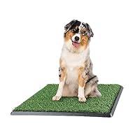 Algopix Similar Product 16 - Artificial Grass Puppy Pee Pad for Dogs