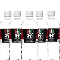 Algopix Similar Product 17 - ASE Water LLC Water Bottles 480 Fl Oz