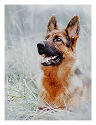 Diamond Painting Kits,Square Diamond Painting 5D Full Drill Art Perfect for  Relaxation and Home Wall Decor (Dog, 12x16inch)