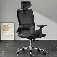 Algopix Similar Product 18 - Fradiett Ergonomic Mesh Office Chair