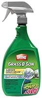 Algopix Similar Product 14 - Ortho 0438580 Grass B Gon Garden Grass