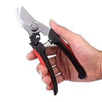 Algopix Similar Product 1 - Stainless Steel Garden Pruning Shears