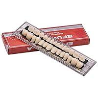 Algopix Similar Product 19 - smiledt Acrylic Resin Teeth Dental