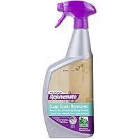 Algopix Similar Product 1 - Rejuvenate Soap Scum Remover 32