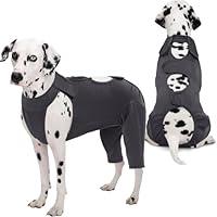 Algopix Similar Product 19 - Kuoser Dog Surgery Recovery Suit Thigh