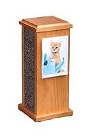 Algopix Similar Product 18 - Kitty Post Urn
