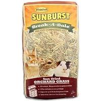 Algopix Similar Product 4 - Higgins Sunburst BreakABale Orchard