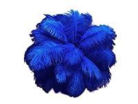Algopix Similar Product 17 - 12 Lb  1719 Royal Blue Large