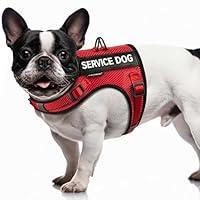 Algopix Similar Product 2 - FAYOGOO Service Dog Vest for Small Dogs