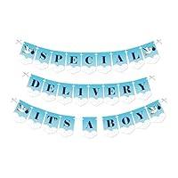 Algopix Similar Product 19 - Big Dot of Happiness Boy Special