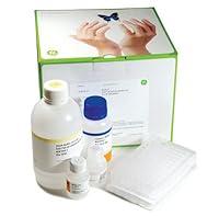 Algopix Similar Product 19 - GFX 96 PCR Purif Kit, 10x96