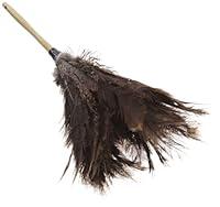 Algopix Similar Product 18 - Impact 4600 Economy Ostrich Feather