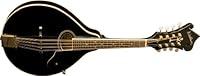 Algopix Similar Product 5 - Washburn M1SDLB A-Style Mandolin (Black)