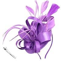 Algopix Similar Product 8 - DRESHOW Fascinators Royal Banquet