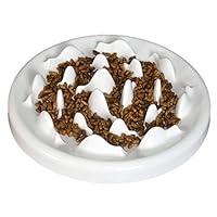 Algopix Similar Product 13 - Lorde Slow Feeder Cat Bowls Ceramic