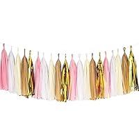 Algopix Similar Product 9 - Tissue Paper Tassel DIY Party Garland