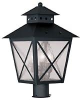 Algopix Similar Product 9 - Livex Lighting 267404 Montgomery