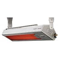 Algopix Similar Product 1 - Lynx LHEM48NG 35000 BTU Ceiling Mount