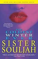 Algopix Similar Product 11 - The Coldest Winter Ever: A Novel