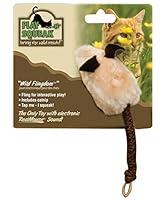 Algopix Similar Product 15 - Play-N-Squeak Mouse Toys