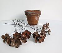Algopix Similar Product 15 - Rustic Bouquet of Rusty Flowers Bloom