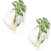 Algopix Similar Product 14 - Kingbuy Wall Planter for Indoor Plant