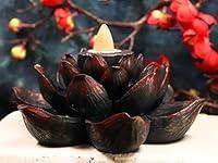 Algopix Similar Product 6 - Ebros Buddha Padma Lotus Incense Stick